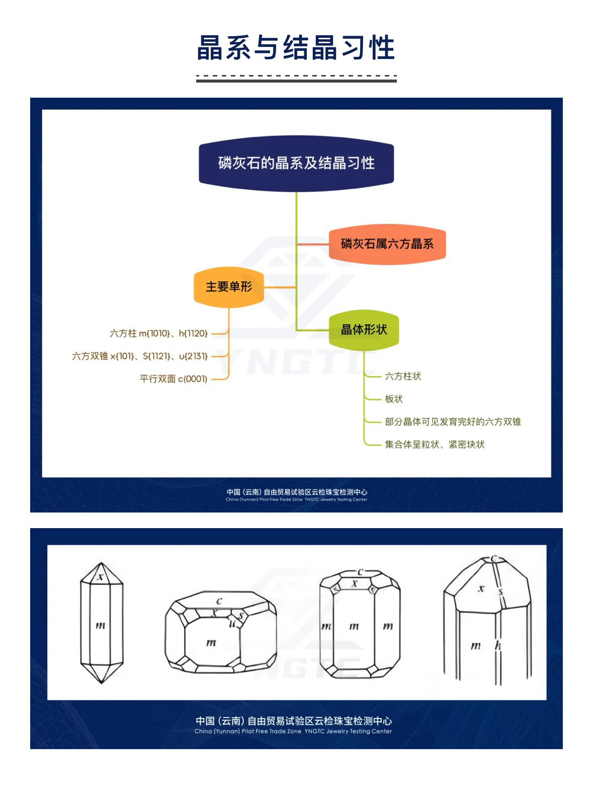 香港全年资料免费大全