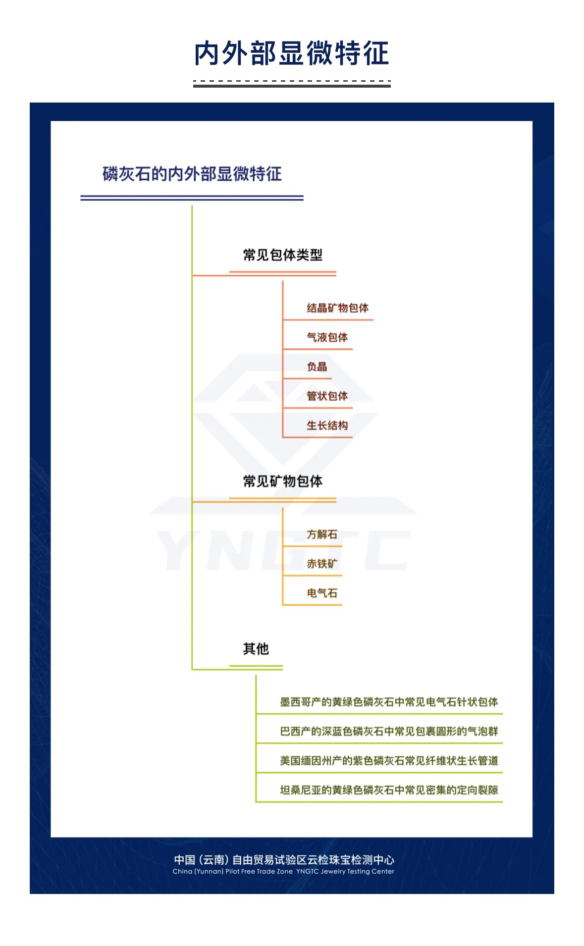 香港全年资料免费大全