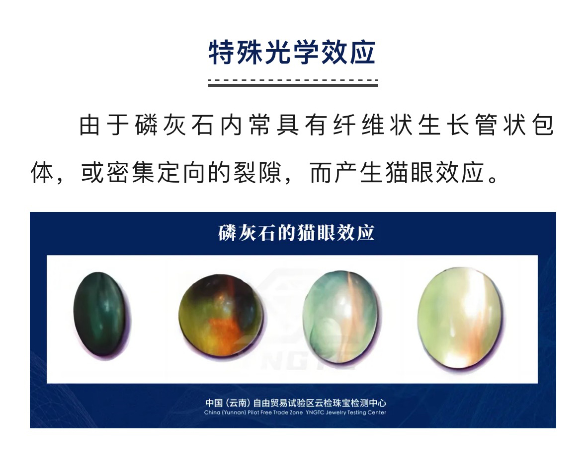 香港全年资料免费大全