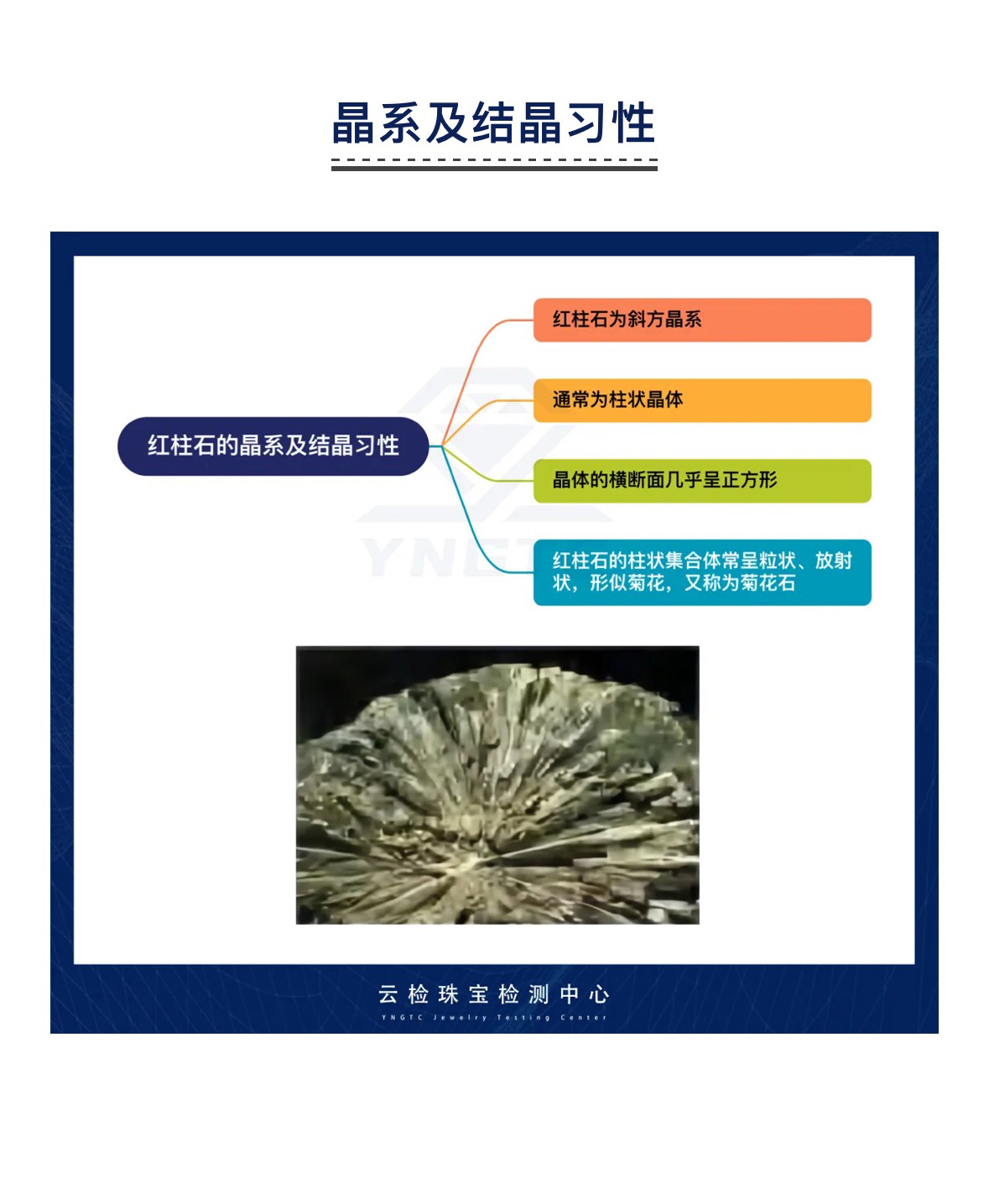 香港全年资料免费大全