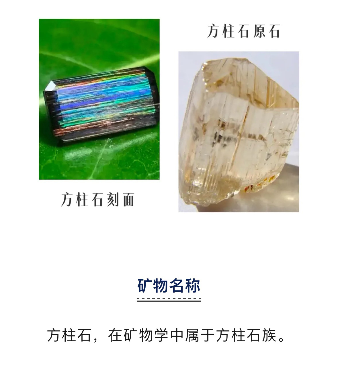 香港全年资料免费大全